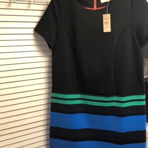 Loft Dress NWT